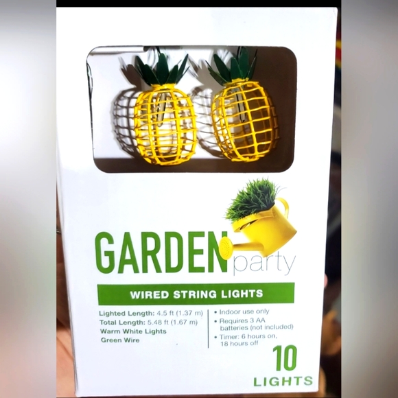 Pineapple Wired String Lights 10 Lights‎ - Picture 1 of 3
